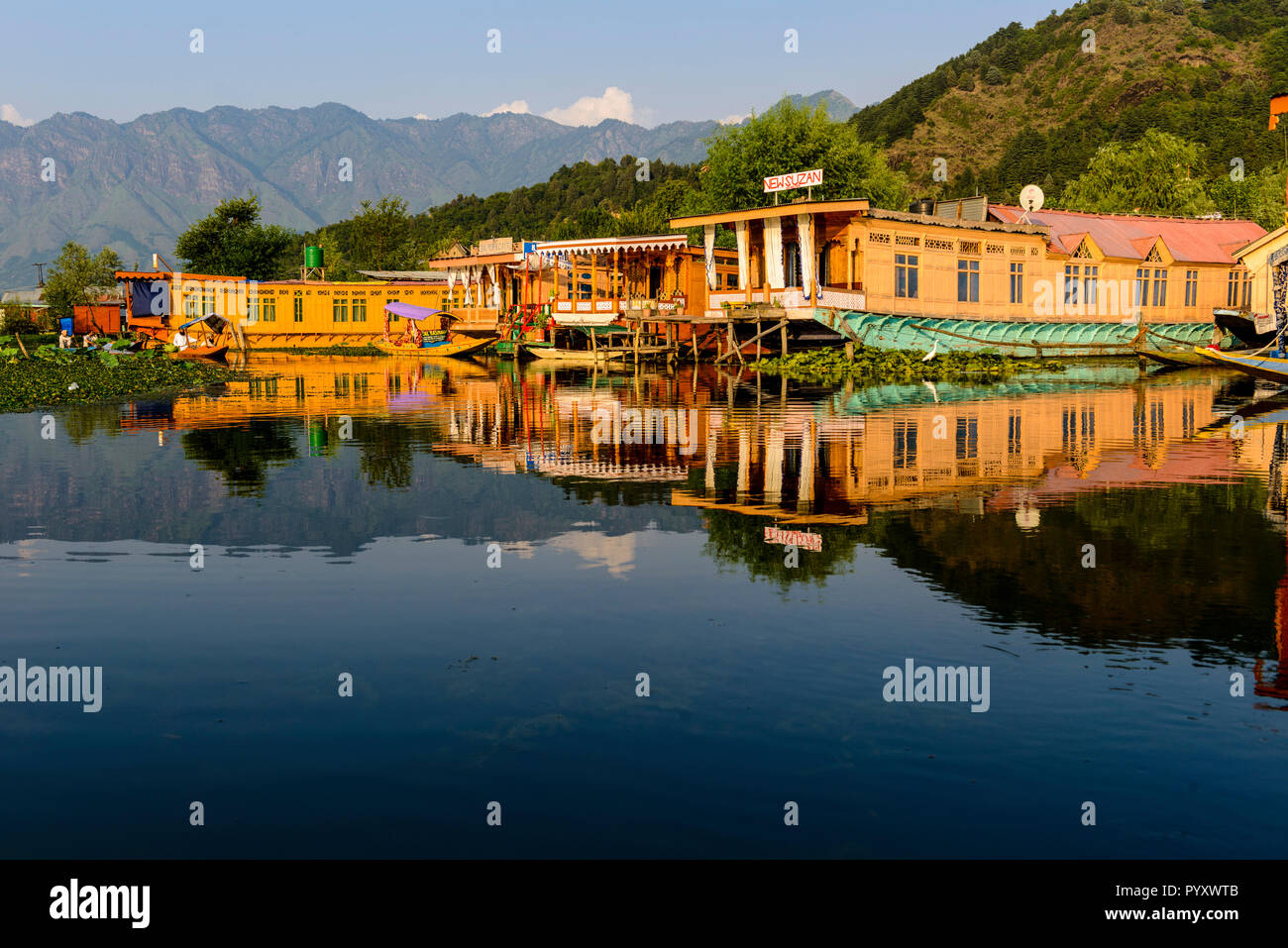 Houseboats for rent, anchored at Dal Lake and mirroring in the water, are the main attraction