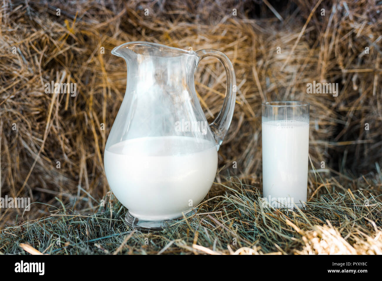 сено для детей. молочное пиво. натуральные молочные продукты. молоко сено. кувшин с молоком на природе.