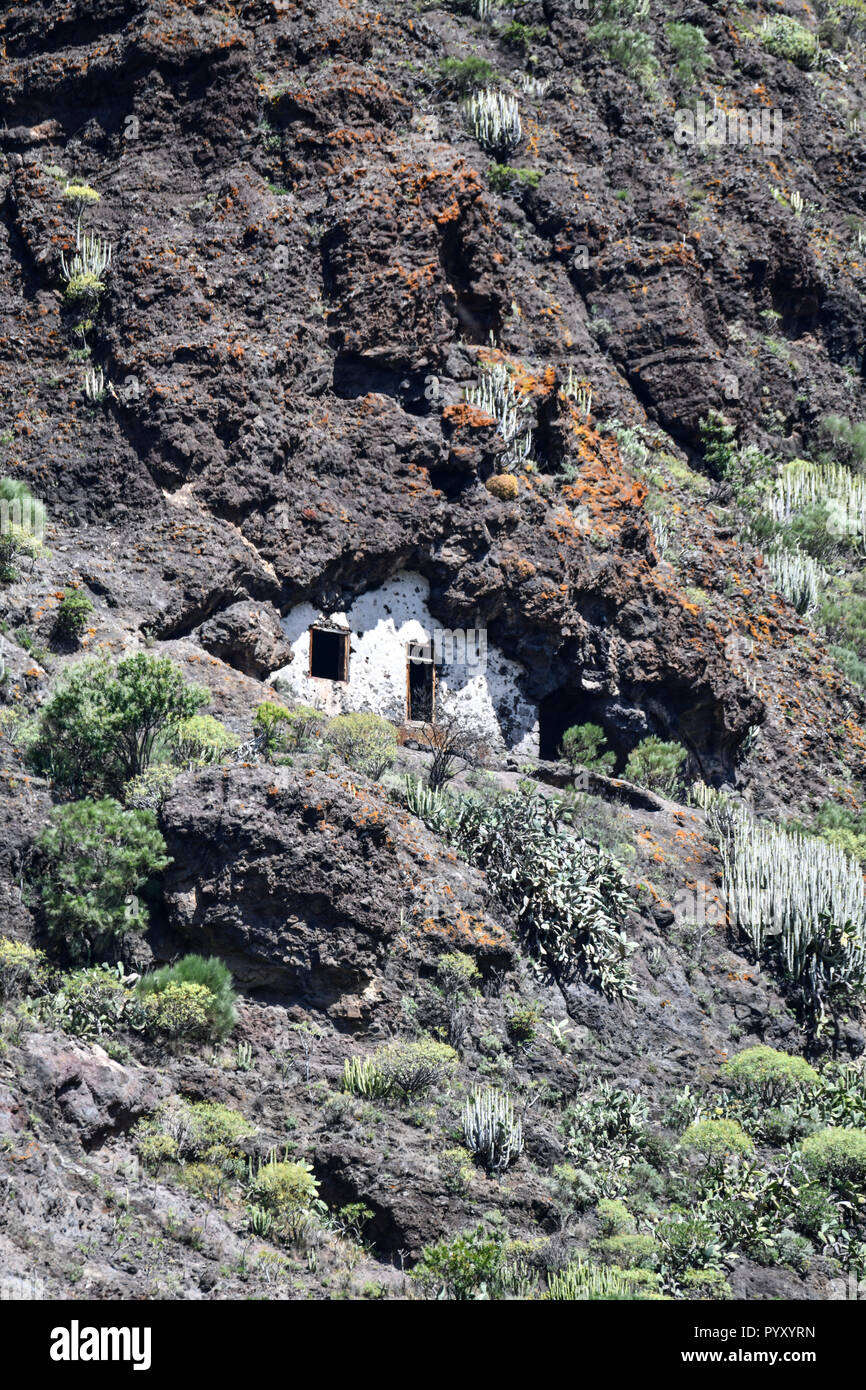 Spain; Canary Islands: Tenerife. Troglodytic dwellings in the Teno Rural Park. *** Local Caption *** Stock Photo