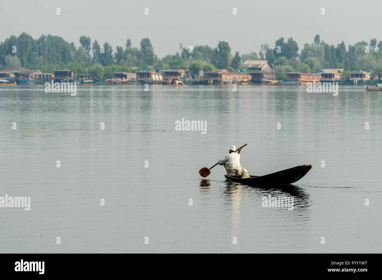 A local man is paddeling a small boat across Dal Lake, houseboats for rent are seen in the