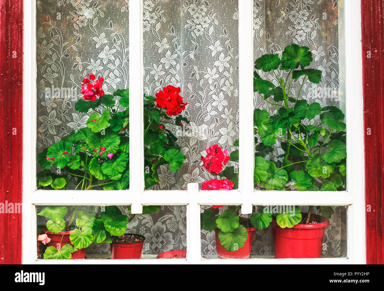 Flowers on windows hires stock photography and images Alamy