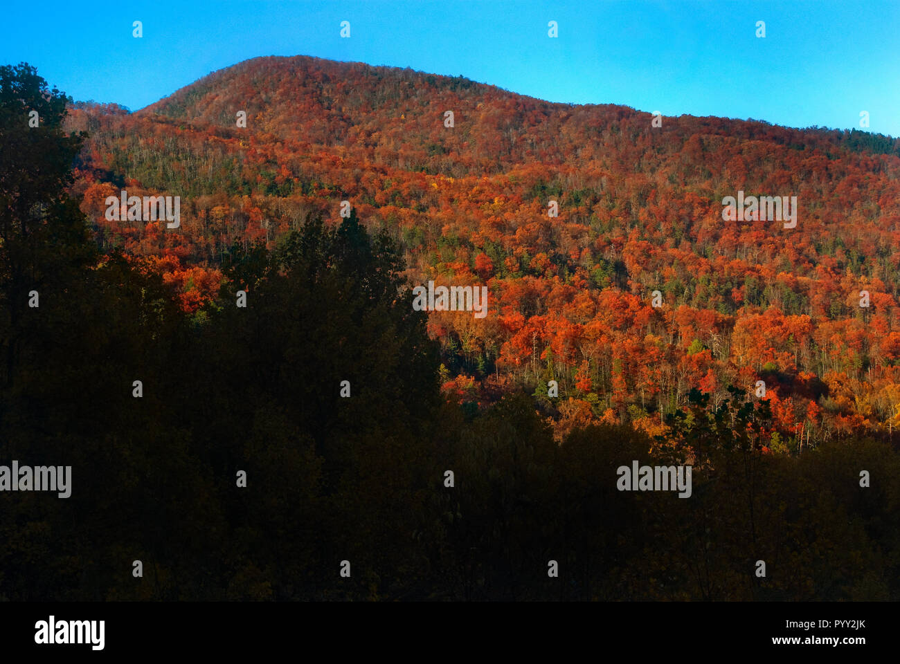 Leaves begin to change colors at Cumberland Gap in the Great Smoky