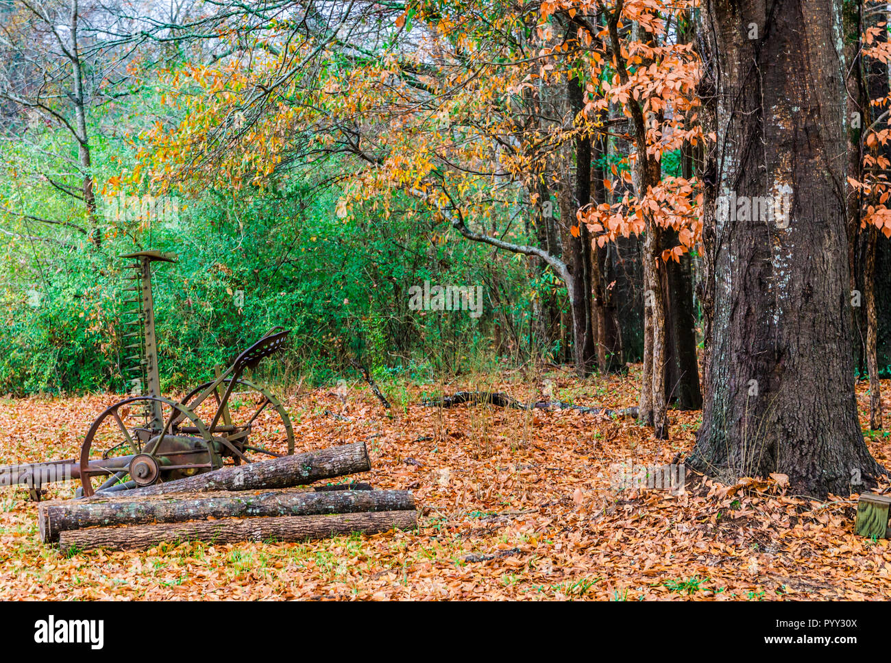 Antique farm equipment is displayed throughout the grounds in the