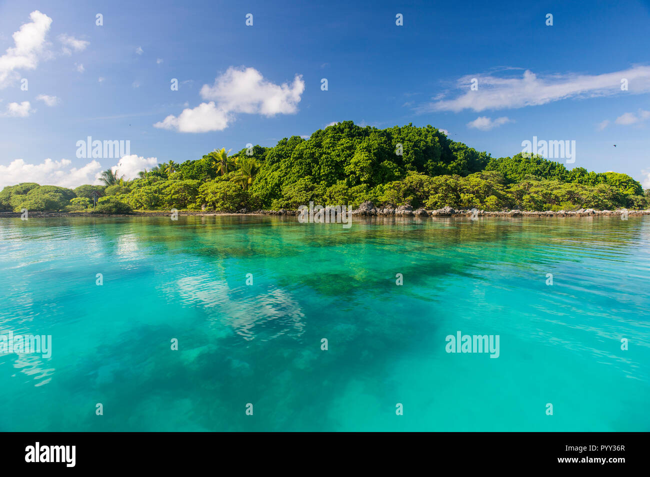 Clear waters on Bird Island, Tikehau, Tuamotu Archipelago, French Polynesia Stock Photo