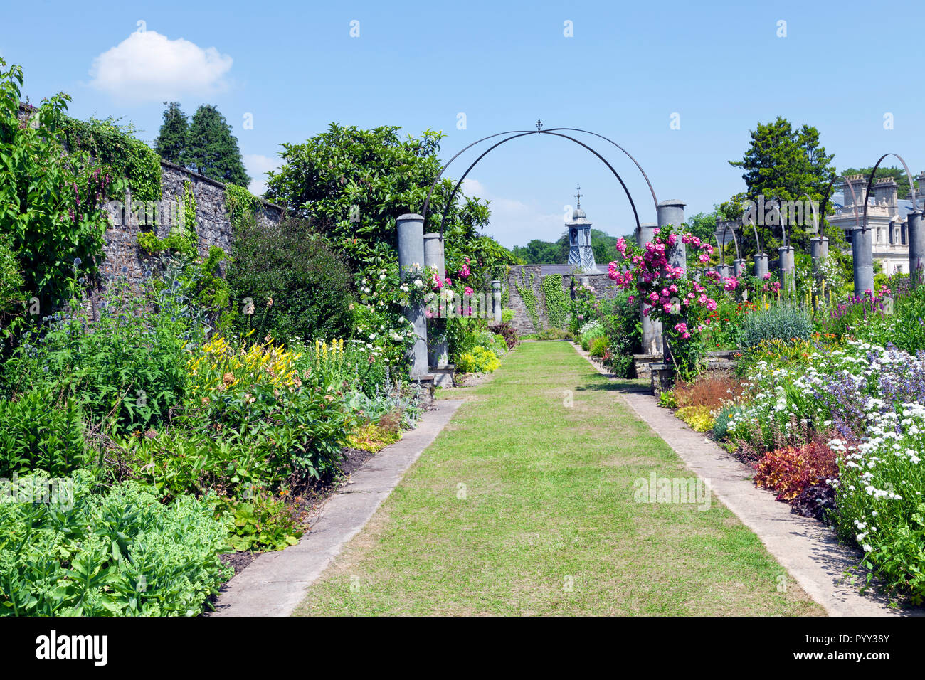 Colorful flowers in bloom on both sides of grass path, pink rose under an arch, trees and shrubs by an old stone wall,  in lush English garden, on a s Stock Photo