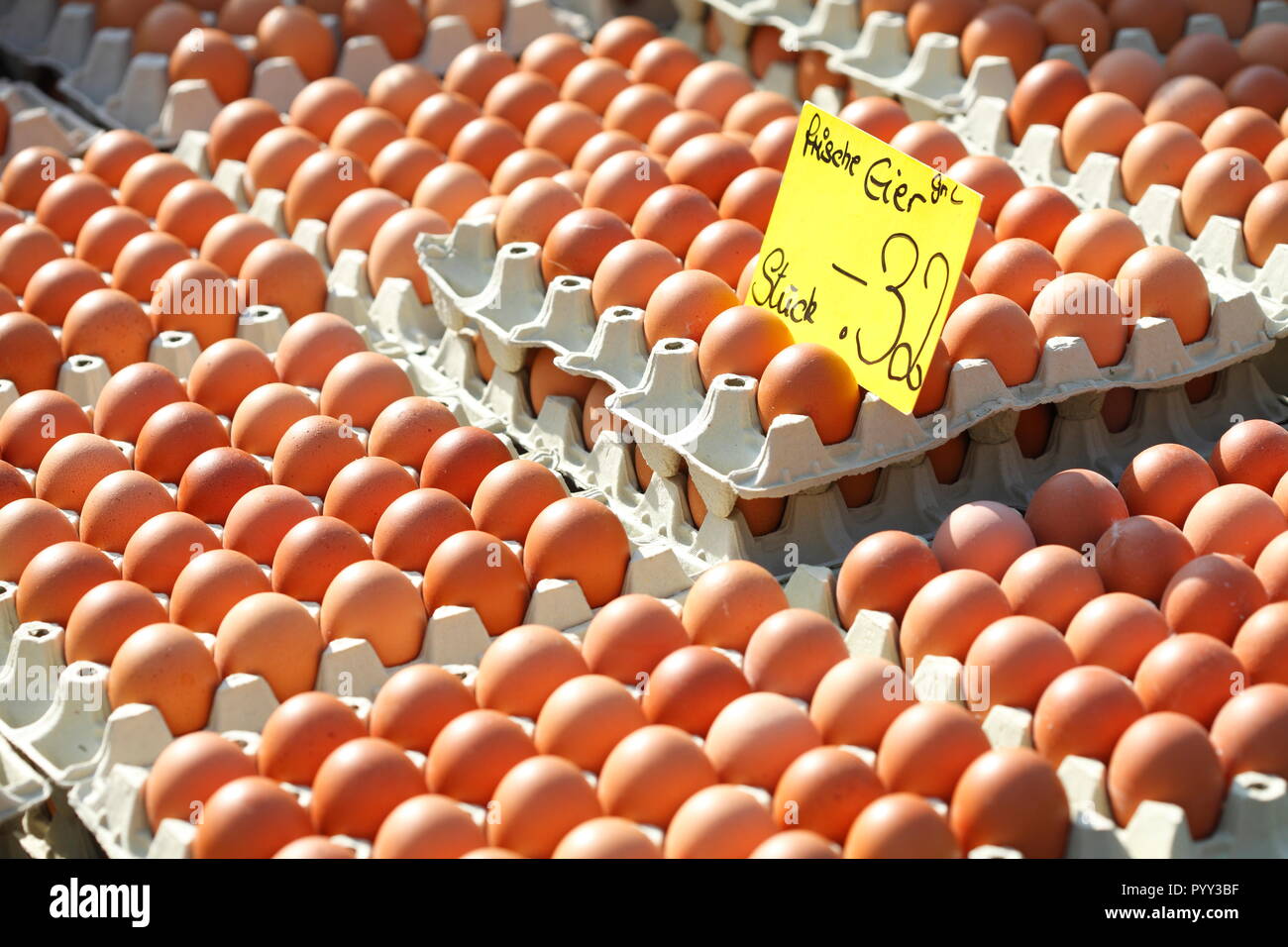Fresh brown eggs in egg cartons with price tag at a market stall