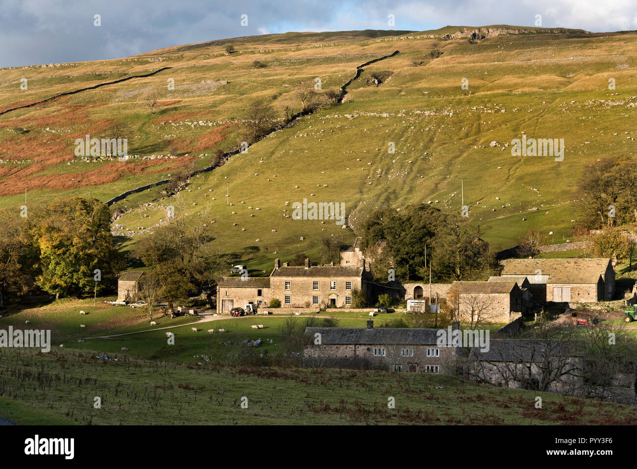 Autumn light shining on the farming hamlet of Yockenthwaite, Langstrothdale, Yorkshire Dales National Park, with sheep grazing on the hills. Stock Photo