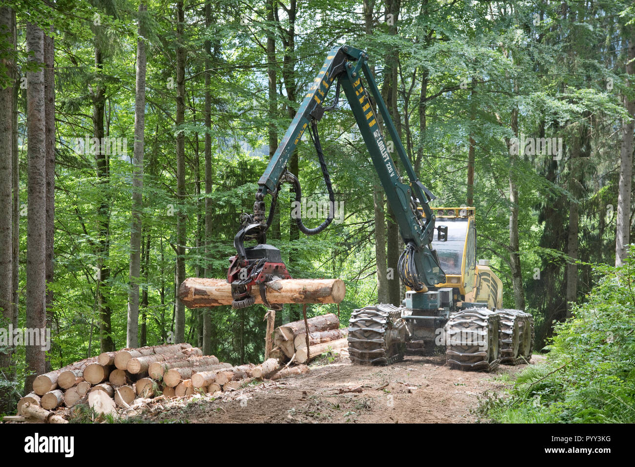 Harvester used for forestry work, Reichraming, Kalkalpen National Park, Upper Austria, Austria Stock Photo