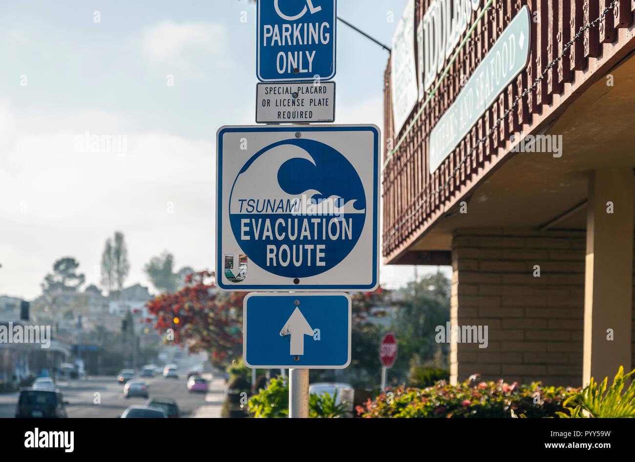 San diego news tsunami