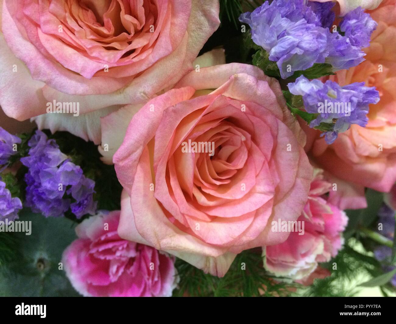 Mixed color roses hi-res stock photography and images - Alamy