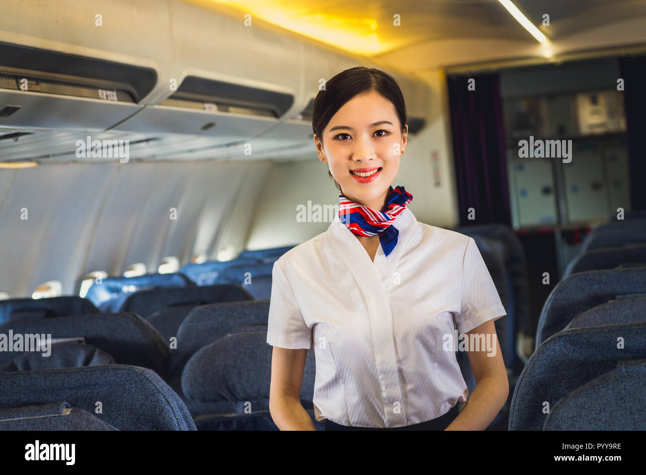beautiful-flight-attendants-stock-photo-alamy