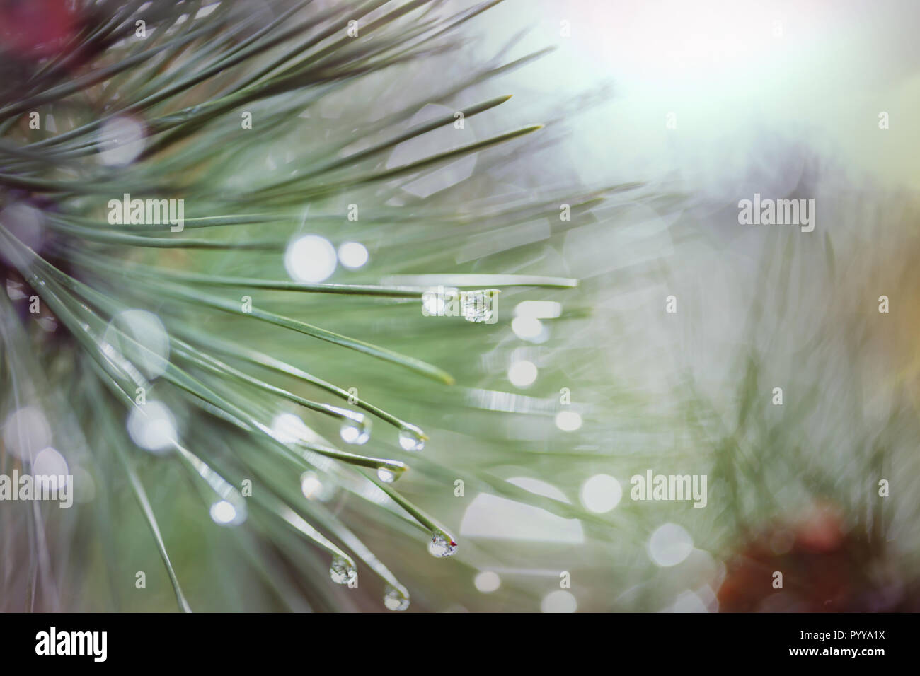 Abstract Christmas image suitable for the holiday background Stock Photo