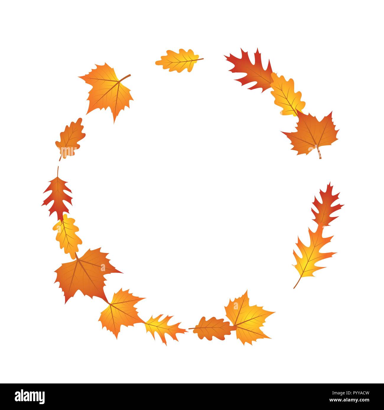 autumn leaves circle isolated on white background vector illustration EPS10 Stock Vector