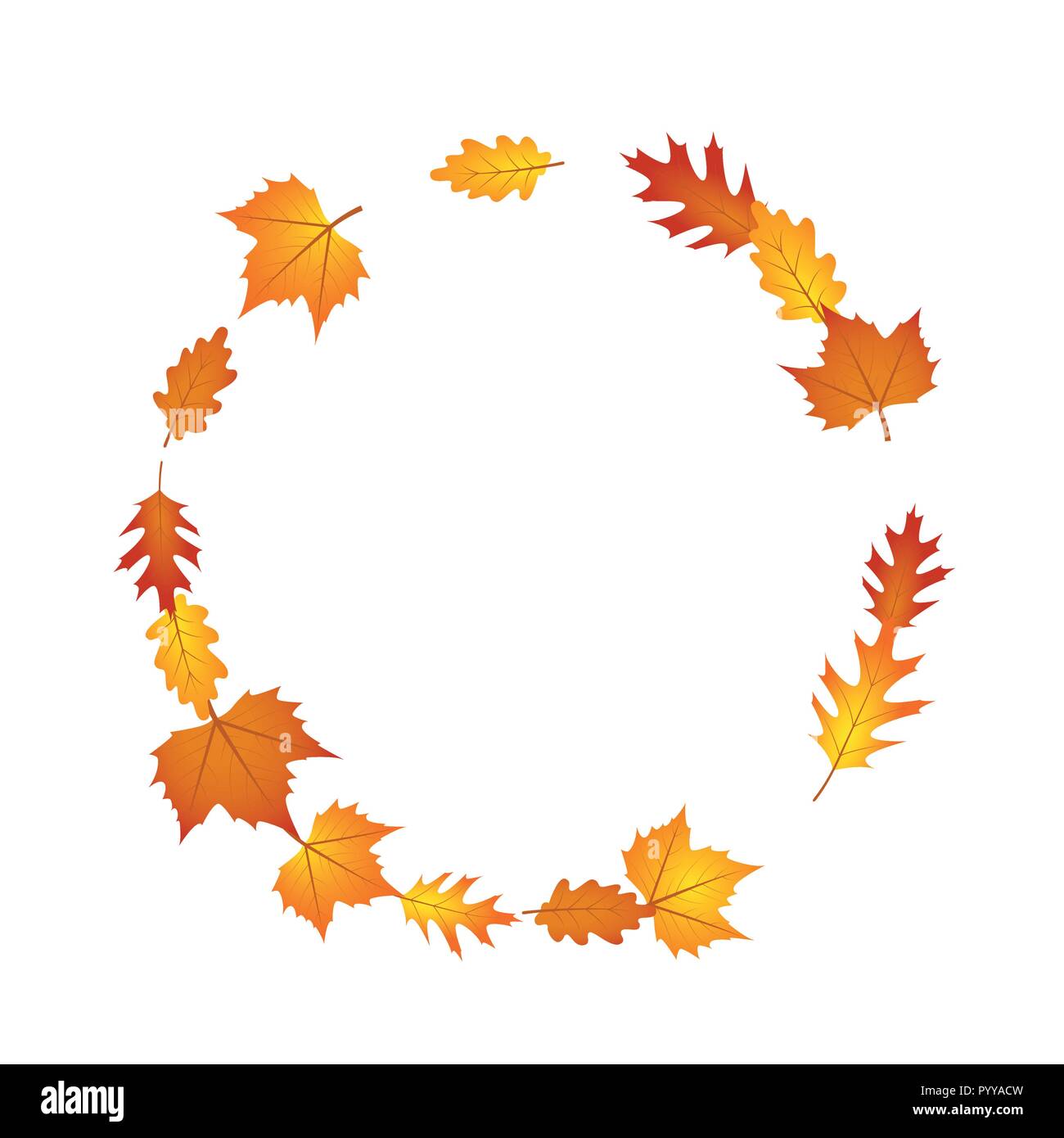 autumn leaves circle isolated on white background vector illustration