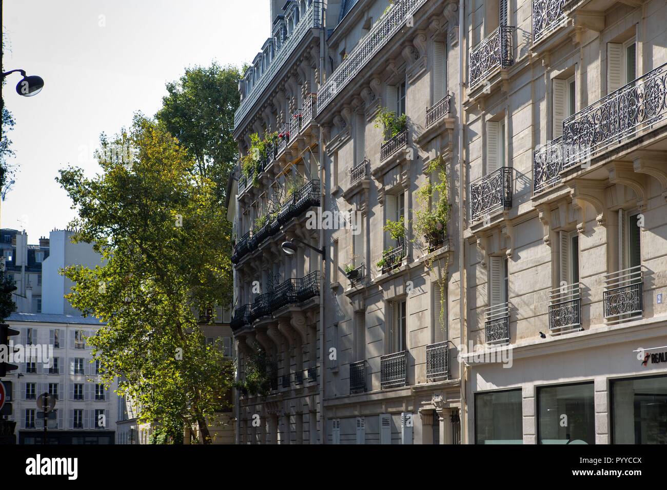 France, Ile de France, Paris 6th arrondissement, Paris, succession of post-haumanniens balconies Stock Photo