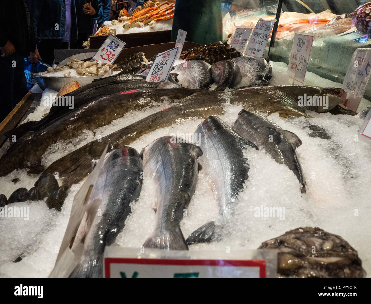 Fresh fish, lobster, salmon, halibut, for sale at fish market Stock Photo