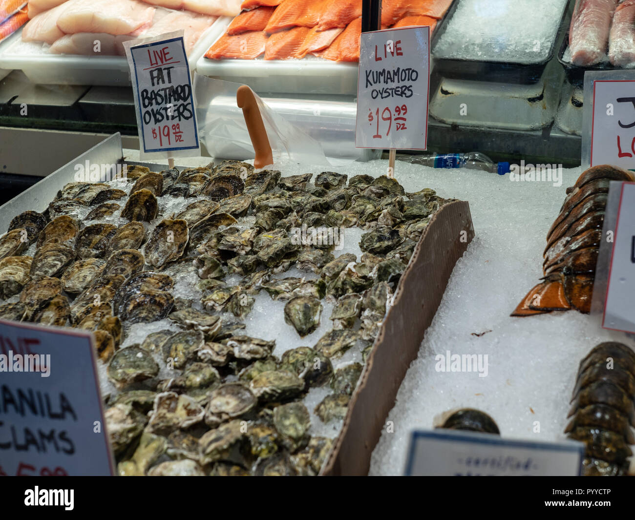 Live kumamoto oysters and fat bastard oysters for sale at fish market Stock Photo Alamy
