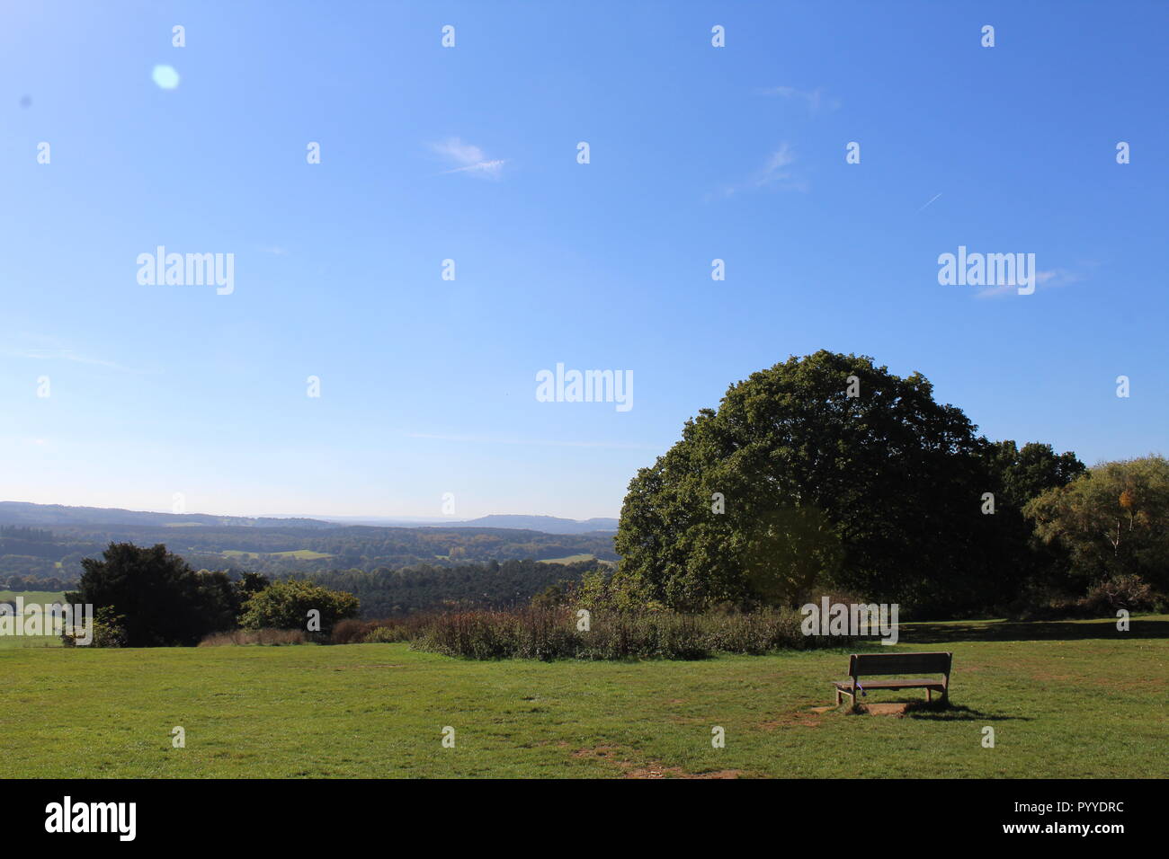 Ashdown forest Stock Photo