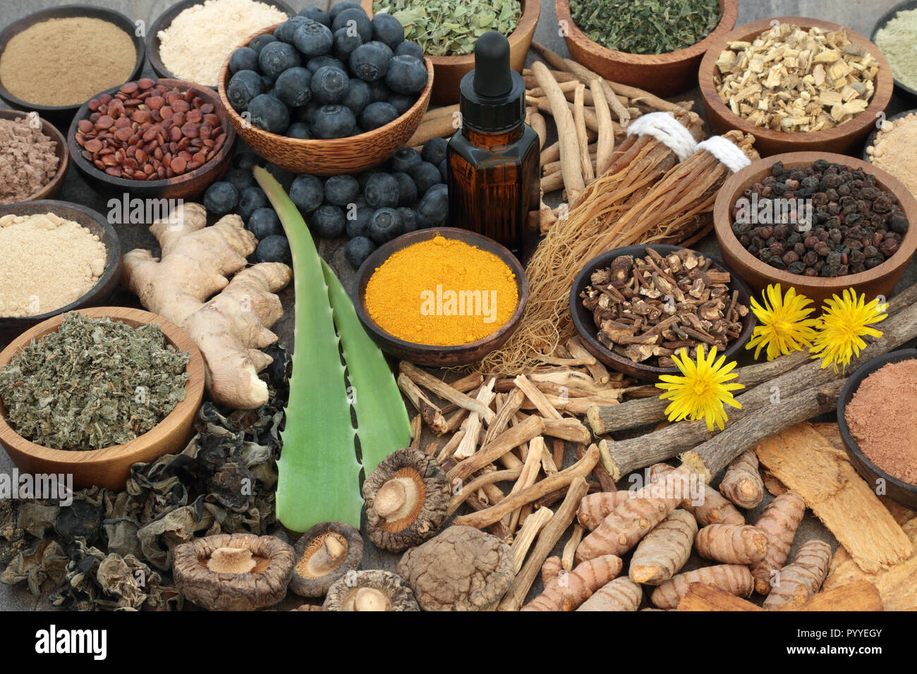 Adaptogenic food collection with herbs, spices, fruit, essential oil