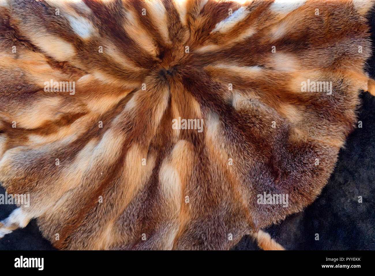 Carpet made of animal fur skin sewn into a circle, background Stock