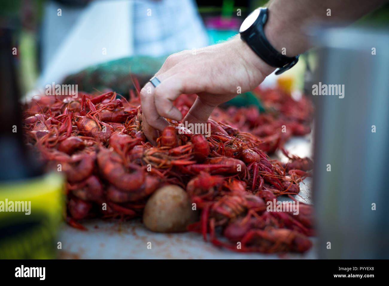 A group of people gather for a crawfish boil. Stock Photo
