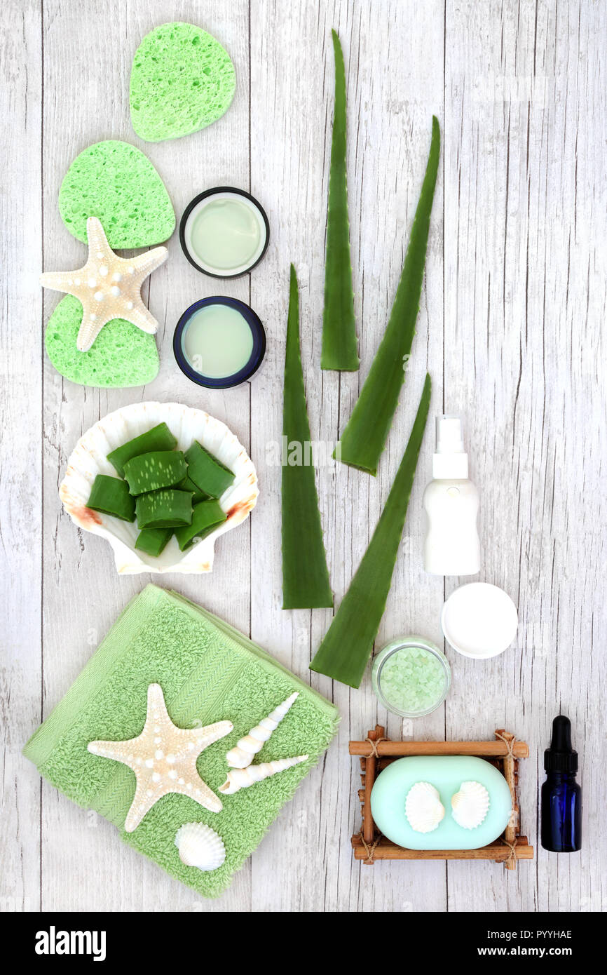 Aloe vera skincare including plant stems, moisturiser, facial cream,  exfoliating scrub and salt, essential oil bottle Stock Photo - Alamy
