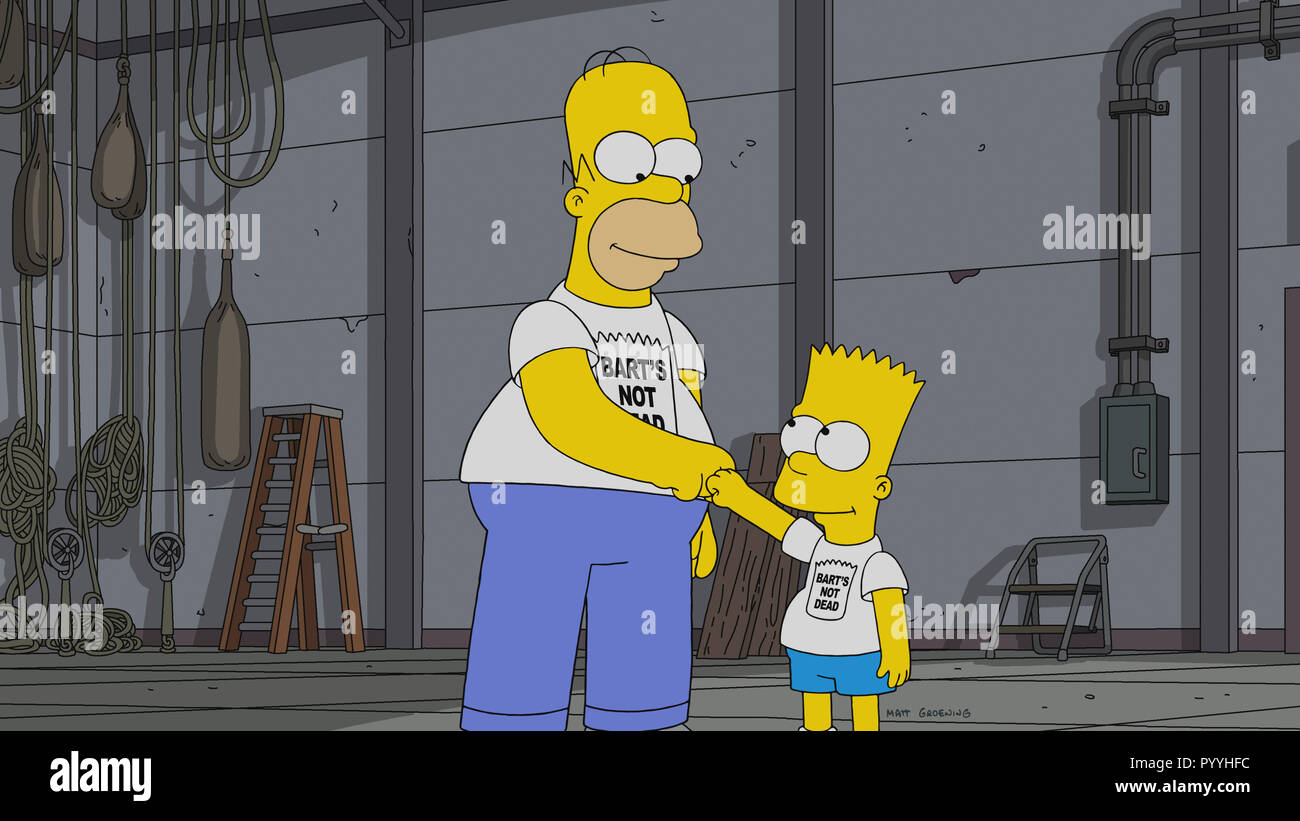 THE SIMPSONS, from left Homer Simpson, Bart Simpson, 