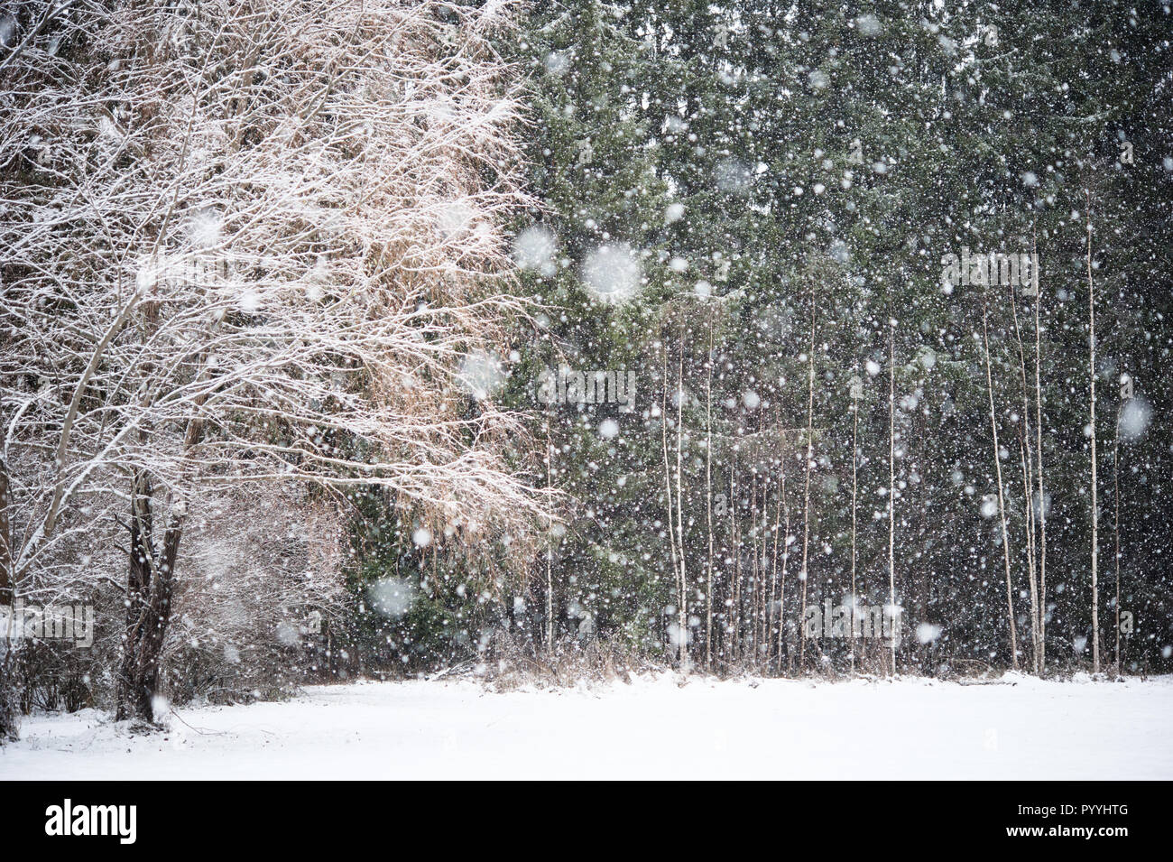 Snowing landscape hi res stock photography and images Alamy