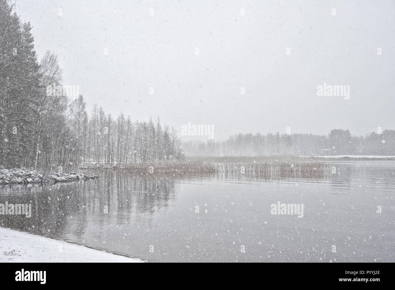 Snowing at the lake shore Stock Photo