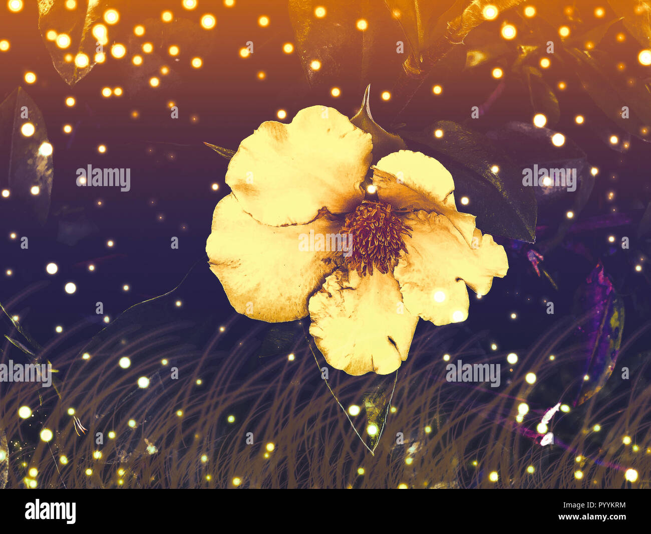Nature Sparkle Background. Bokeh effect Stock Photo Alamy