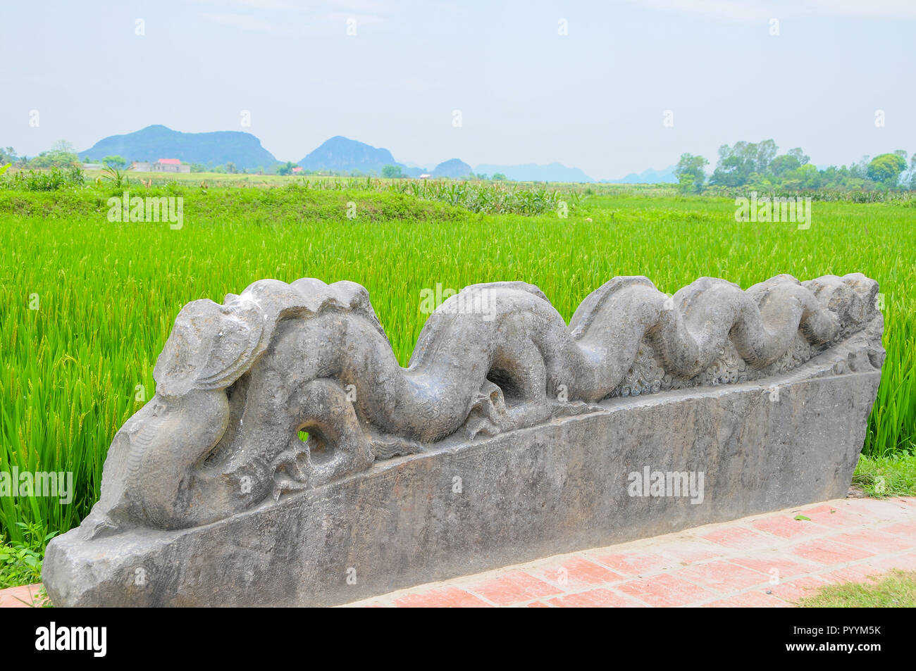 This stone carving of a dragon is the only artifact remaining within the walls of the Ho Citadel, Thanh Hoa Province, Vietnam. Stock Photo