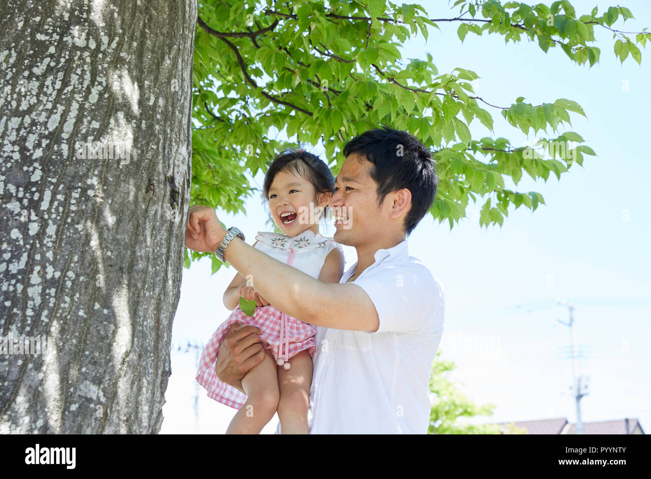 Japanese father and daughter at the park Stock Photo - Alamy
