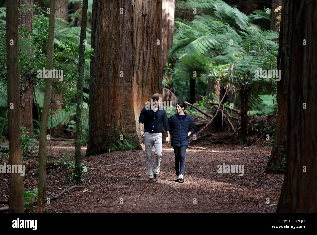redwoods mountain biking