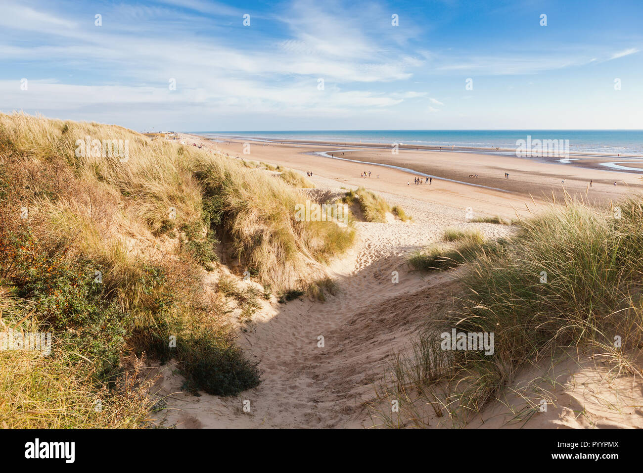 Camber Sands, sandy beach at the village of Camber, East Sussex near Rye, England, the only sand dune system in East Sussex. View of the dunes, grass Stock Photo