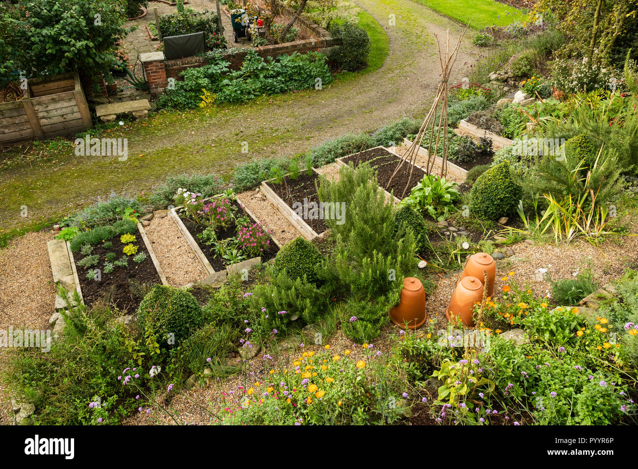 Raised timber beds with mixed organic crops or produce (vegetables herbs, edible flowers) in kitchen garden - Grays Court, York, Yorkshire, England. Stock Photo
