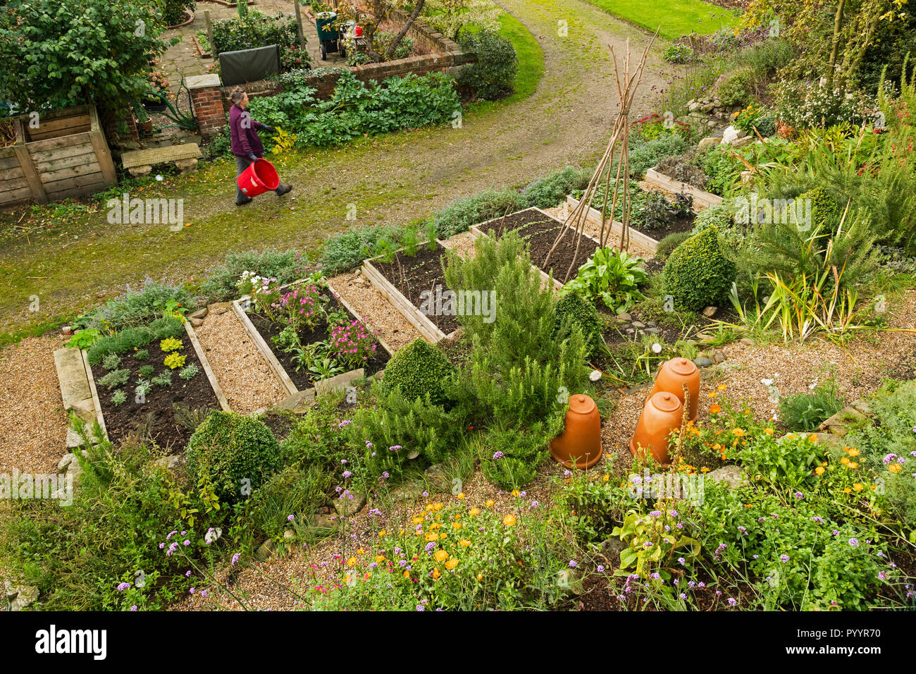 Gardener by raised timber beds with mixed organic produce (vegetables herbs, edible flowers) in kitchen garden - Grays Court, York, Yorkshire, England Stock Photo