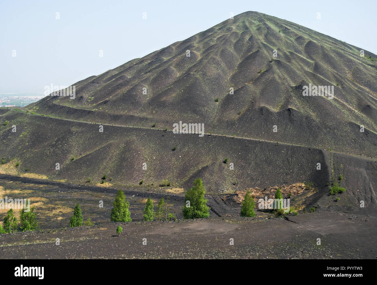 charcoal mine spoil tip locally called terril hill at Loos-en-Gohelle with turtle shape Stock Photo