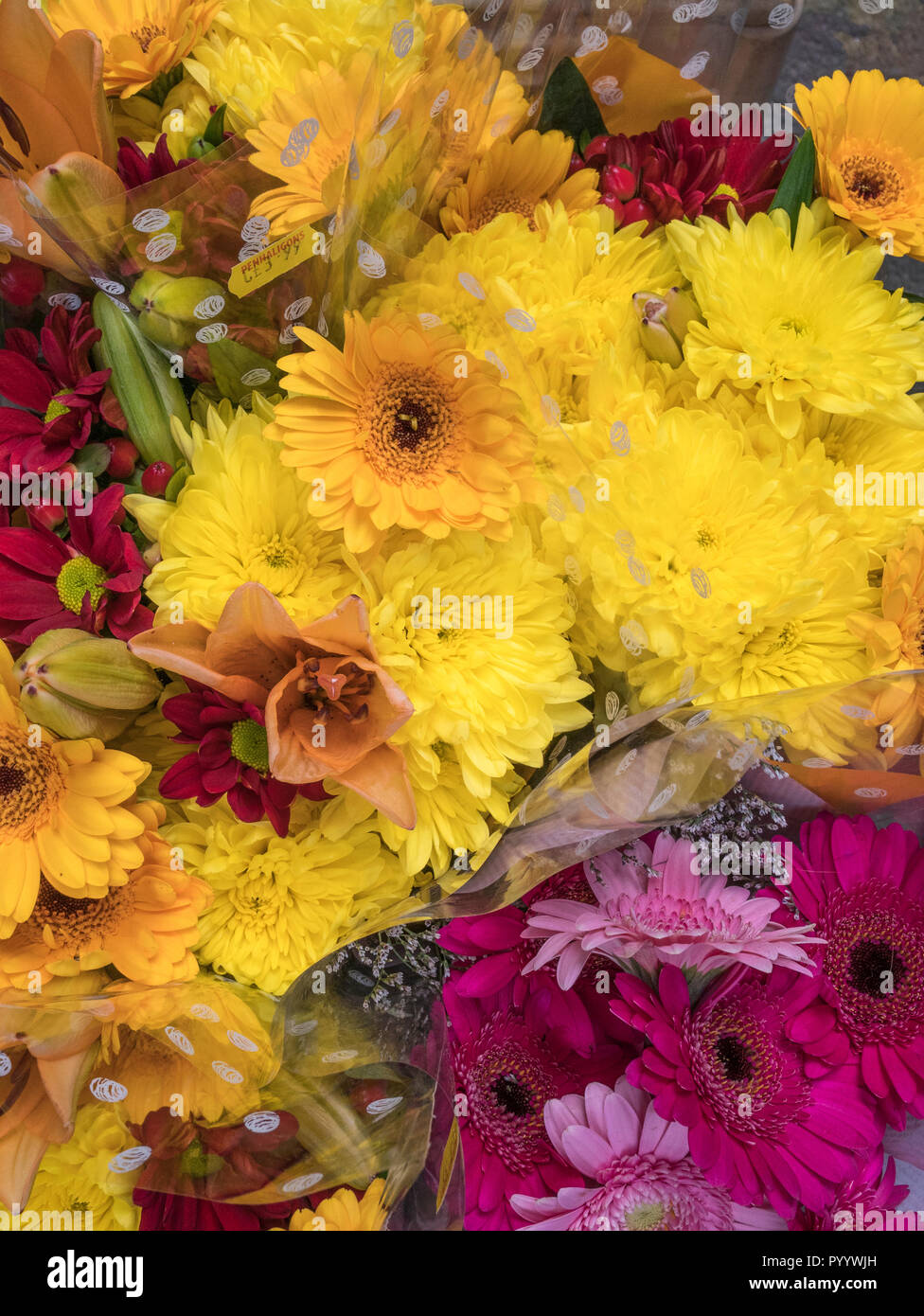 Metaphor flower shop hi-res stock photography and images - Alamy