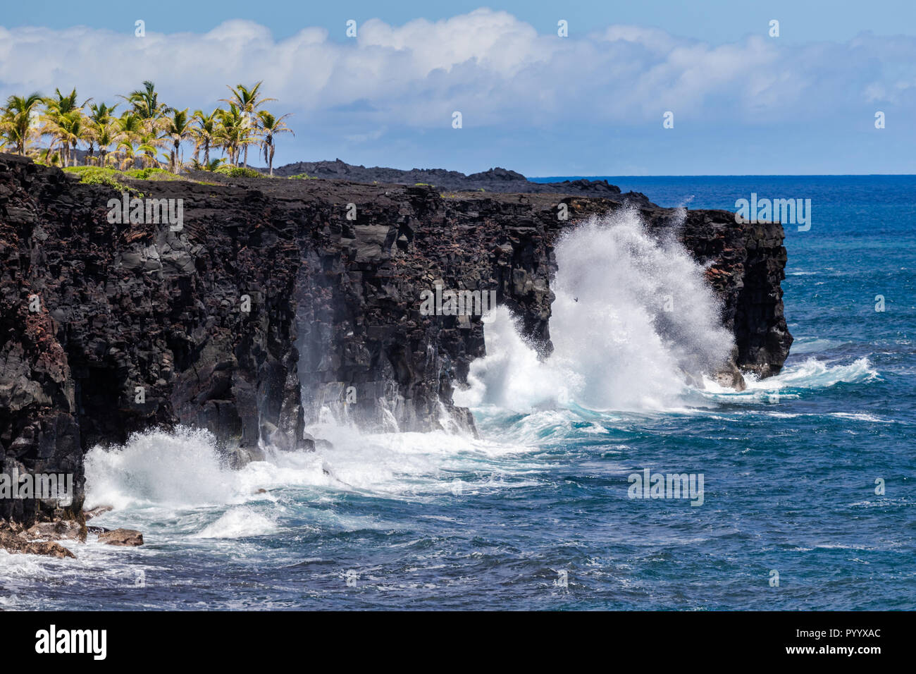 Large waves crashing against volcanic cliffs on Hawaii's Big Island