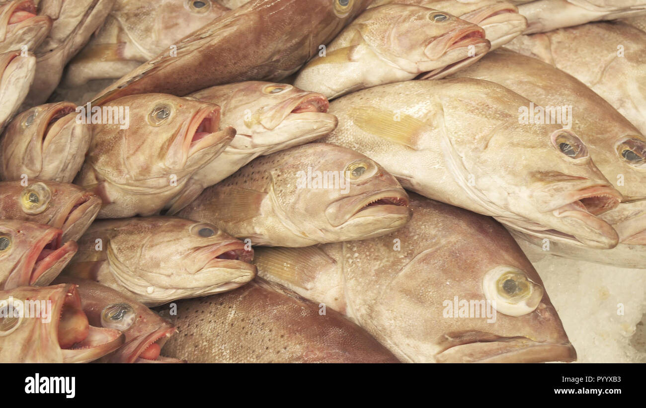 Fresh frozen fish on the counter in supermarket Stock Photo