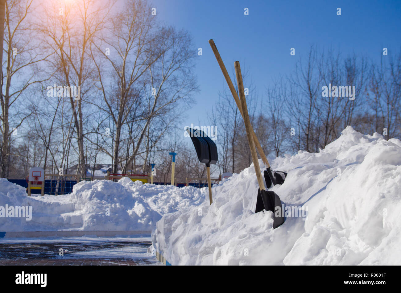 shovels stuck in snowdrift in winter day Stock Photo