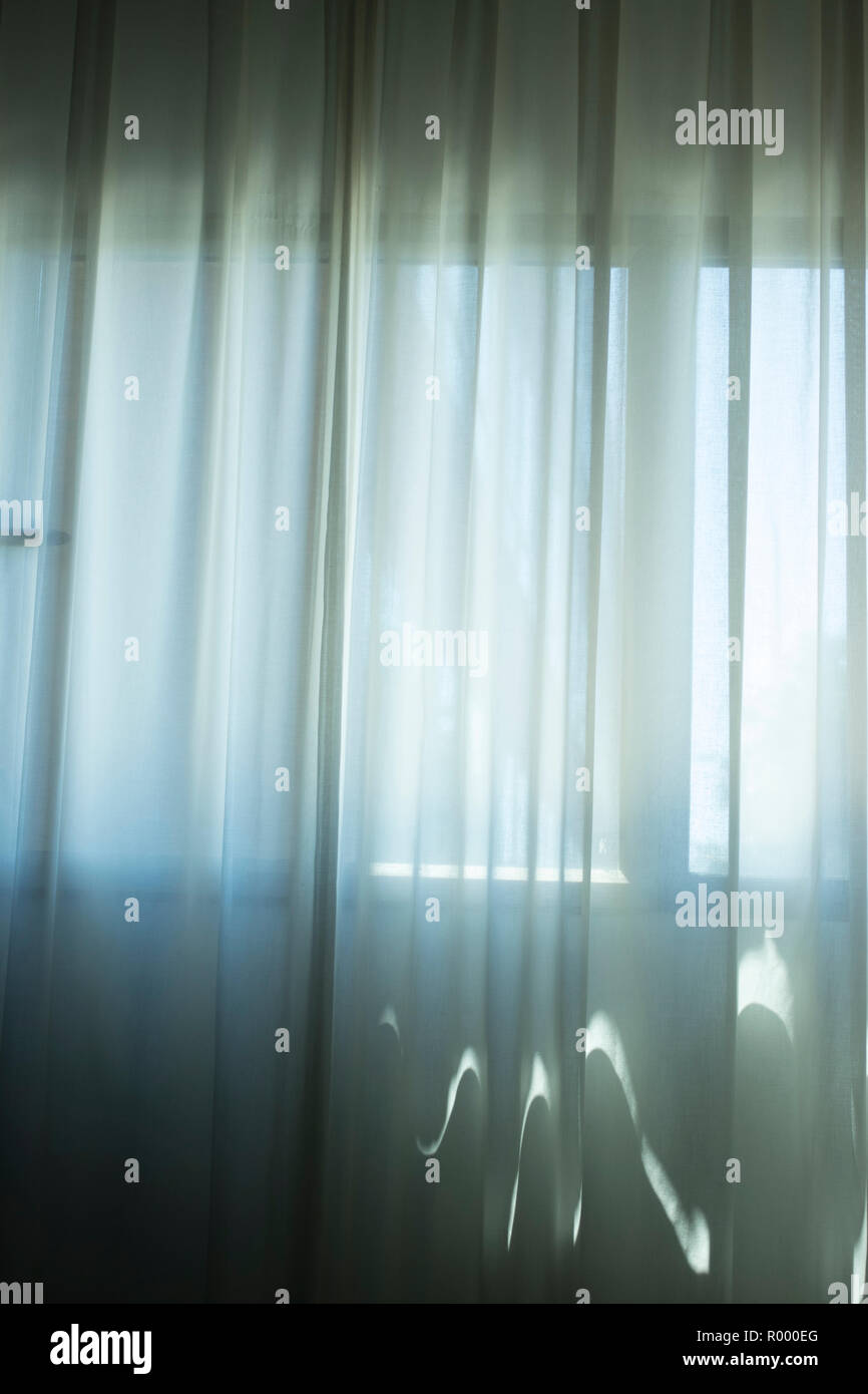 Hotel Bedroom Net Curtains Window With Soft Dalylight Light