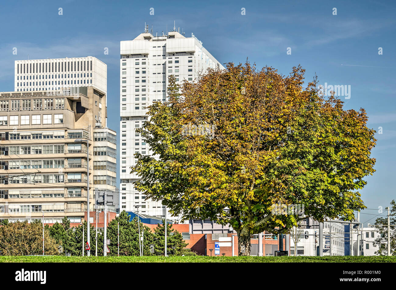Rotterdam junction hires stock photography and images Alamy