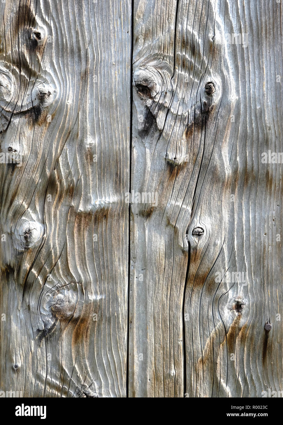 detail of an old wooden door turned silver with age Stock Photo