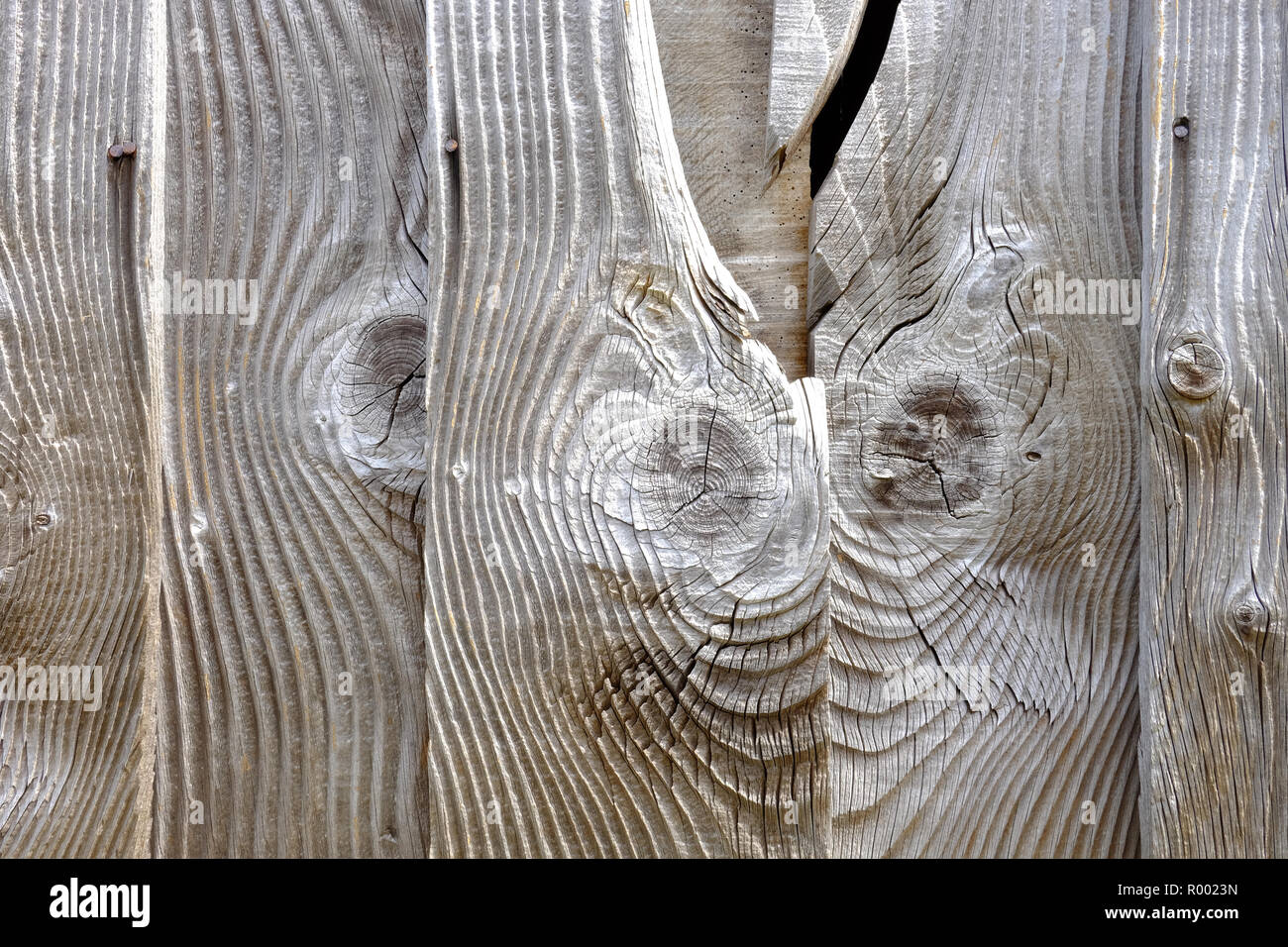 detail of an old wooden door turned silver with age Stock Photo