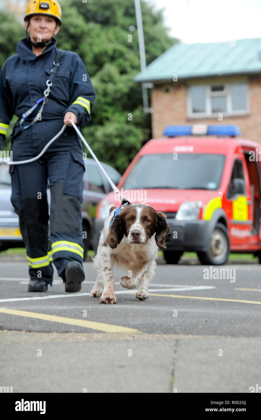 Fire fighting dog hires stock photography and images Alamy