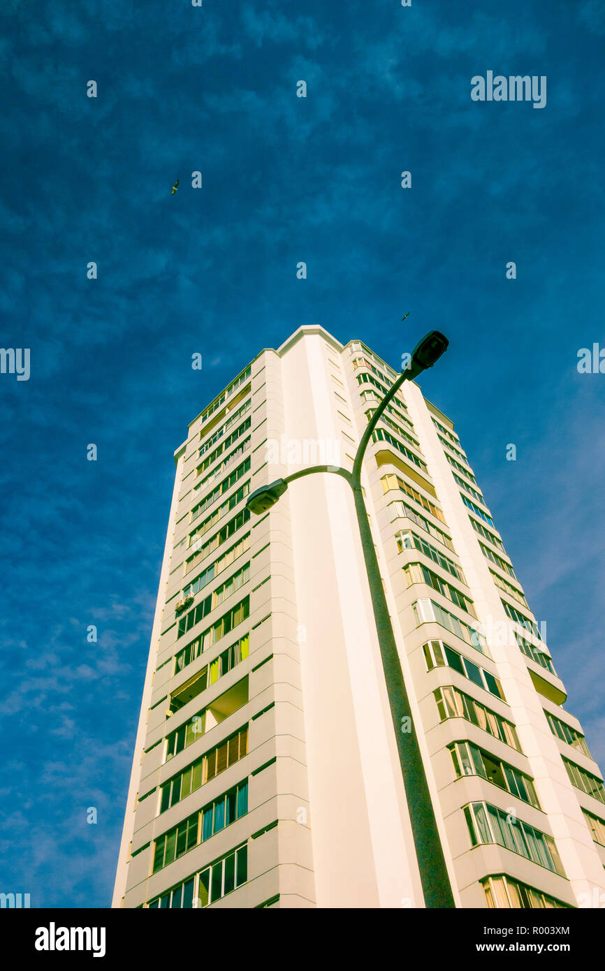 high-rise residential building, streetlamp and seagulls Stock Photo