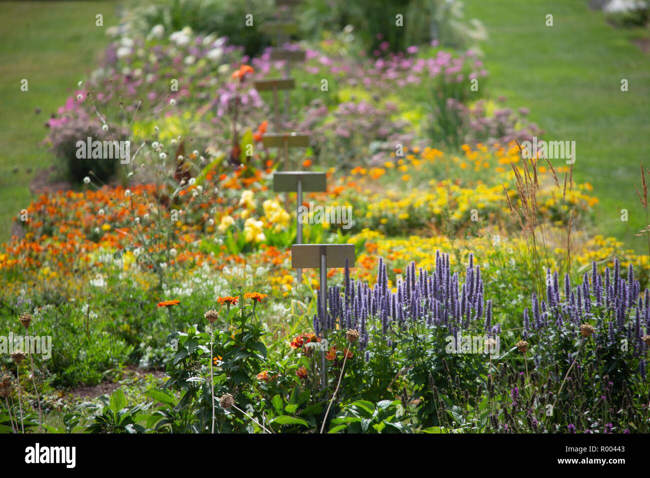 France, Normandy region, Seine Maritime, Le Havre, hanging gardens, Fort de Sainte Adresse Stock