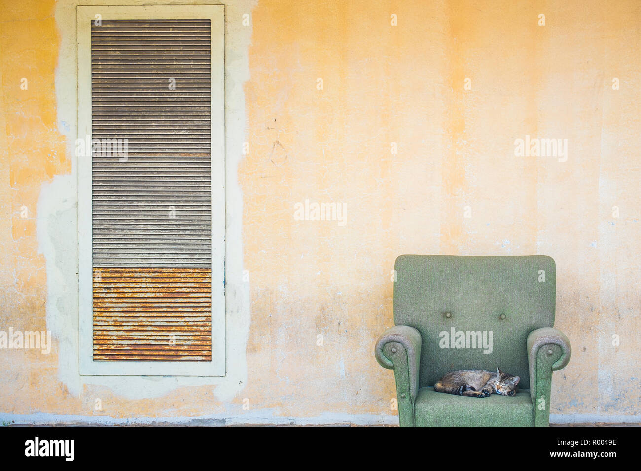 cat relaxing in an armchair placed on a sidewalk Stock Photo