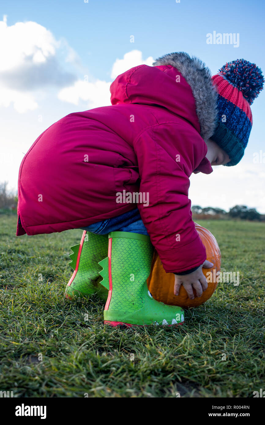 Child in wellies pumpkin picking for halloween Stock Photo